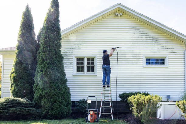 Best Building Exterior Washing  in Whitefish, MT